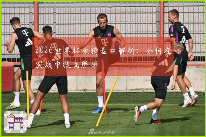 2026世界杯竞猜盘口解析：如何在实战中提高胜率